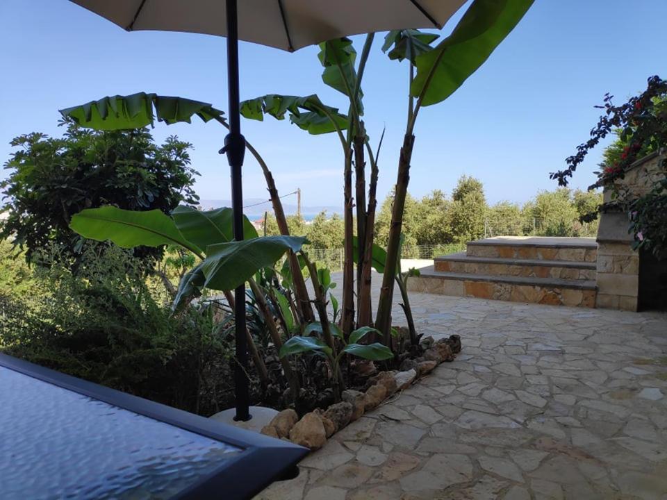 Xenia'S Countryside Guesthouse Agia Marina  Exterior photo